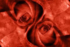 Ruže Fototapety 4400 - samolepiaca